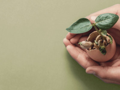 Why Social Responsibility is Important for&nbsp;Businesses