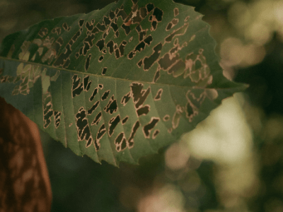 Ethical Evolution: Three ways your business can do&nbsp;better