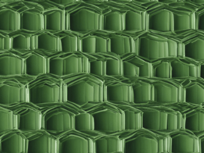 Why Newsletters Are Still a Great Marketing Tool in&nbsp;2024