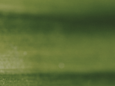 Greenwashing vs Genuine Impact: How to Tell the&nbsp;Difference